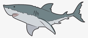 Mako Shark Clipart Transparent Background - Great White Shark Clipart #3206749