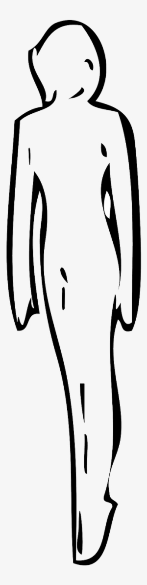 Vector Graphics,free Pictures - Clip Art #3208013