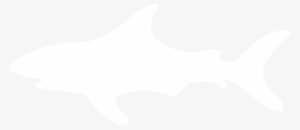 Shark - About - Dorsal Fin #3208140