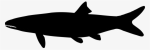 Shark Silhouette Drawing Computer Icons Black - Icon #3208187