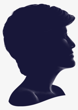 Princess Diana Silhouette #3208258