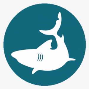 Tiger Shark #3208468