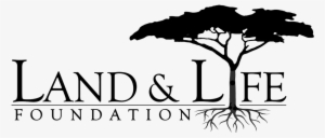 2017 Mara North Conservancy All Rights Reserved #3208469