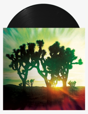 Shared Hallucinations Pt 1 #3208929