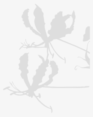 Japan Flowers And Plants Export Association Hibiya-trading - Illustration #3209630