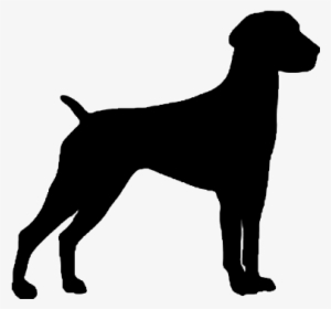 German Shorthaired Pointer Silhouette Decal - German Shorthaired Pointer Silhouette #3209742
