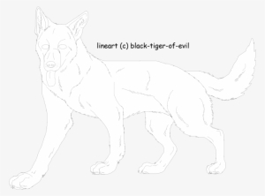 German Shepherd Lineart By Black Tiger Of Evil - Line Art #3209916