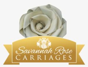 Ssavannah Rose Logo - Hannah And The Lake Beast Mystery #3210592