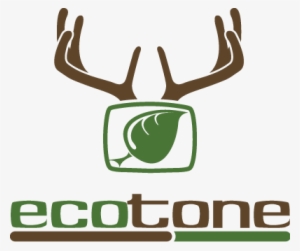 Ecotone #3213705 Ecotone #3213705