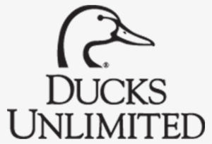 Ducks Unlimited Logo #3213986