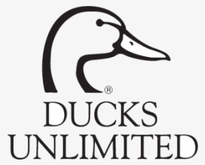 Ducks Unlimited Logo #3214114