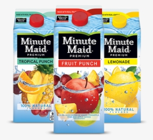 Lemonades & Fruit Drinks - Minute Maid Premium Grape Punch #3215209