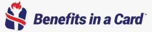 Bic-logo - Benefits In A Card, Llc #3215732