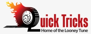 Quick Tricks Automotive Performance #3216552