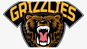 Bruins Purchase Na3hl Franchise In Rochester - Rochester Grizzlies #3218689