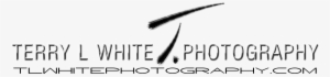 White Photography - Photography #3218953