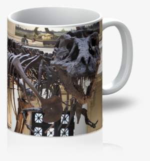 T-rex Museum Fossil - Trex Fossil #3221386