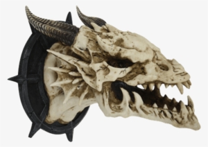 Horned Dragon Skull Wall Plaque - Dragon Skull Wall #3221494
