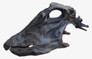 Dinosaur Body Bits Tuesday 10th April - Statue #3221578