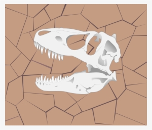This One Is Less A Show Of My Drawing Skills And More - Dinosaur Skulls #3221611