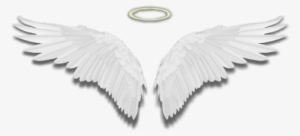 Wings Angelwings Halo White Feathers - White Feather #3222042