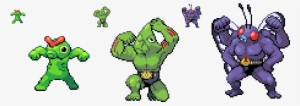 Putting Any Head On Machoke Or Machamps Body Will Produce - Machop Machoke Machamp #3222304