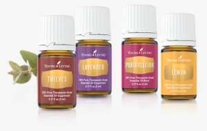 Young Living Essential Oils - Young Living Essential Oils Png #3225148