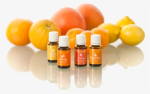 Therapeutic Grade Essential Oils - Essential Oils In Ningxia Red #3225268