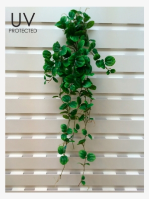 30" Uv Protected Peperomia Hanging Bush Green - Inch #3225731