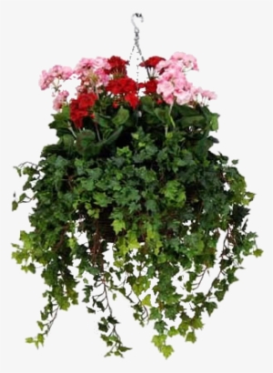 Hanging Baskets, Container Gardening, Artificial Flowers, - Flower Hanging Baskets Png #3225802