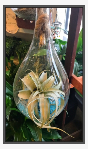 Jacques Flower Shop - Glass #3225804