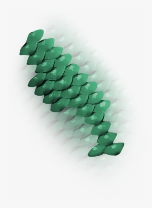 Must Follow N Share - Crocodile #3225980