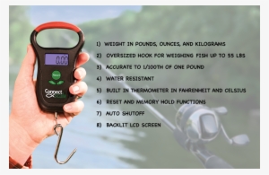 Key Features - Fishing #3226601