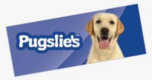 Bright, Affordable, Mixed Media Dog Toys We Are Continuously - Labrador Retriever #3227822