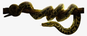 Disney S Kaa Transparent Background By Camo Flauge-db7dwuq - Jungle Book Snake Png #3228883