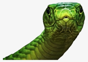 Green #3228957