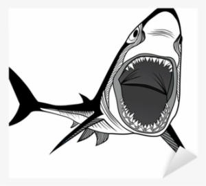 Shark #3229125 Shark #3229125