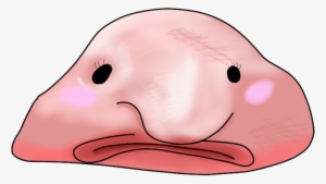 View Topic - Kawaii Fish #3229614