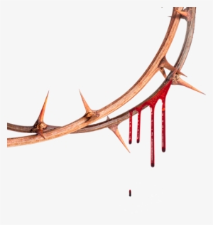 Thorns Vines Roses Flowers Flores Blood Dripping Meltin - Blood #3229822 Thorns Vines Roses Flowers Flores Blood Dripping Meltin - Blood #3229822