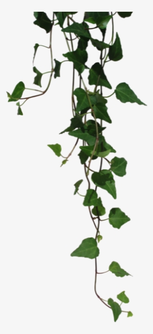 5 / - Clothing #3230338