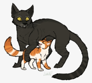 Spire & Blaze A - Spire Warrior Cats #3231278