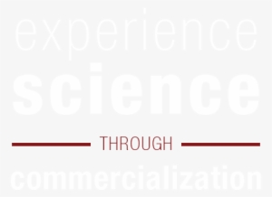 Experience Science Through Commercialization - Science For Grade 7: Teacher Resource Book #3233332