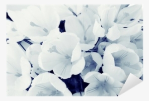 Background Of White Petals Delicate Flowers Texture - Bakgrund Fina Bilder #3233829