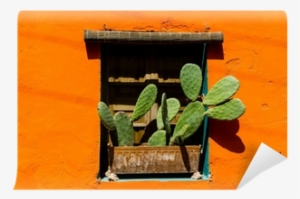 Mexican Style Window With Cactus Wall Mural • Pixers® - Window #3234543