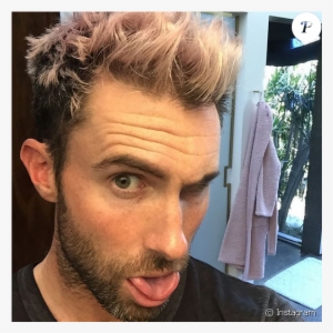 Adam Levine S'est Teint Les Cheveux En Rose - Guys With Blonde Pink Hair #3234745 Adam Levine S'est Teint Les Cheveux En Rose - Guys With Blonde Pink Hair #3234745