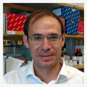 On Being Awarded The Aacr-conquer Cancer Foundation - University Of Colorado Denver #3234908