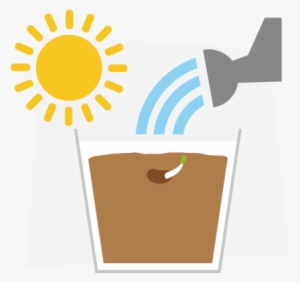 Weed Clipart Water - Seed Absorbs Water From The Soil #3234956