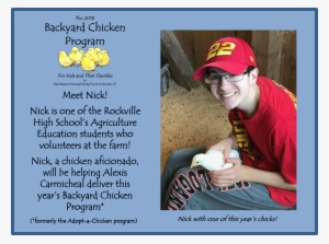 The Idea For The Program Began With A Mother Who Raised - Chicks Really Love Me Chickens #3234957
