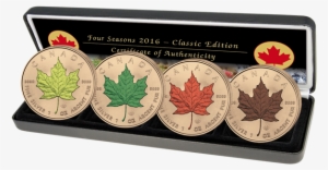 Four Seasons Set - Maple Leaf Seasons #3235548