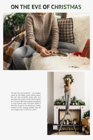 Brochure #3236677